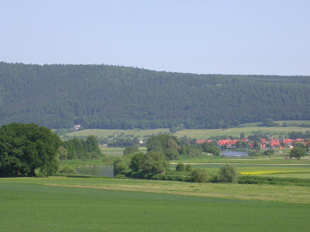 Gasthaus Zum Lindenwirt Hotel Oberweser Kültér fotó